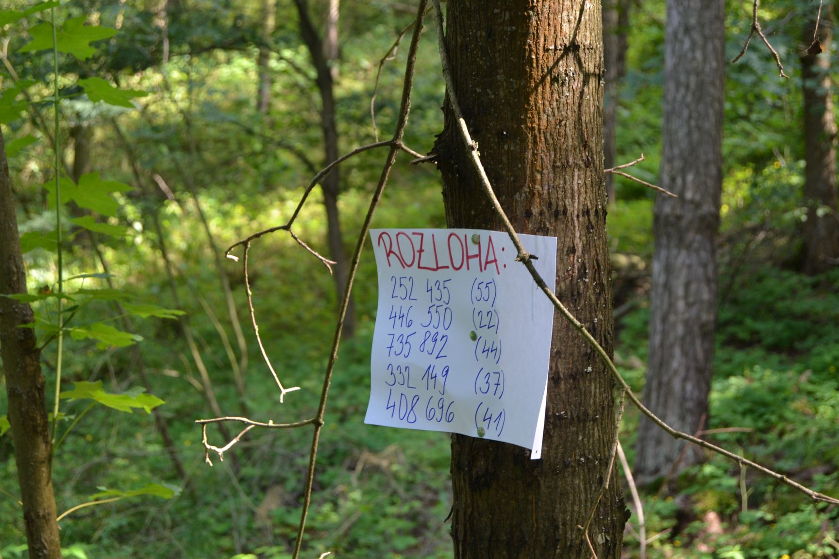Tabor Skalka 2024 (35)