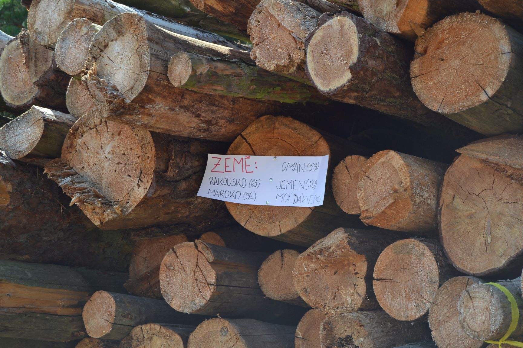 Tabor Skalka 2024 (38)