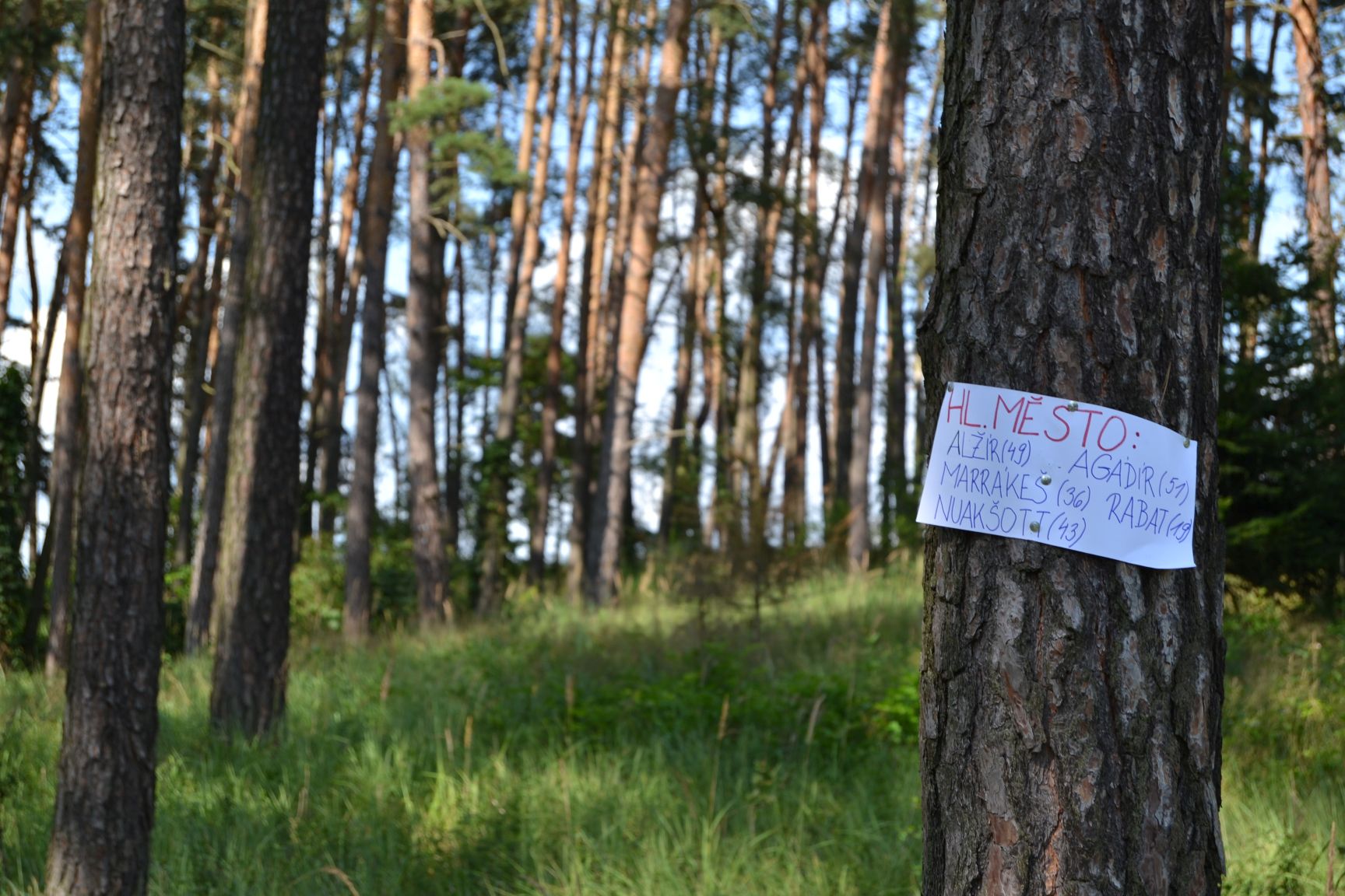 Tabor Skalka 2024 (39)