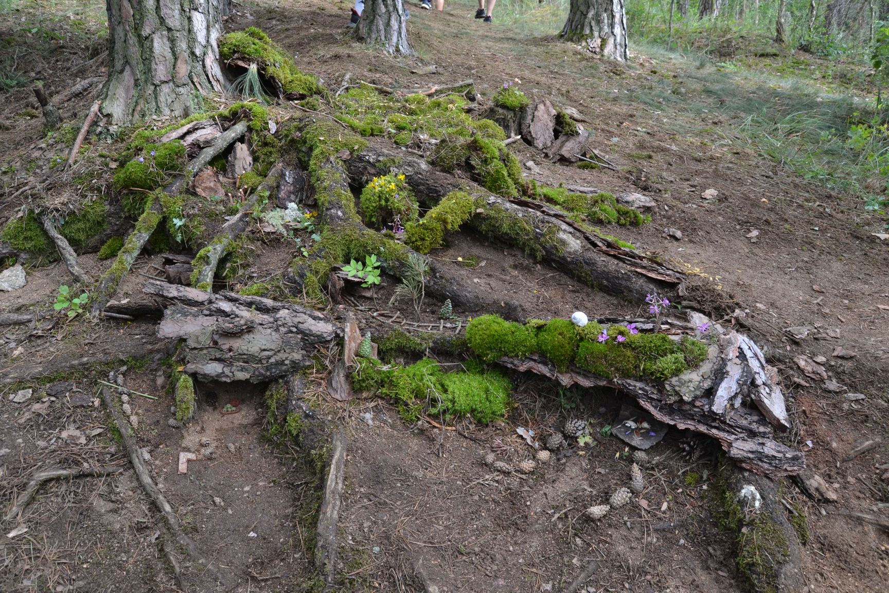 Tabor Skalka 2024 (101)